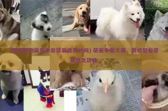 (陌陌里的萌宠争霸攻略是真的吗) 萌宠争霸大赛，教你轻松拿捏胜负攻略