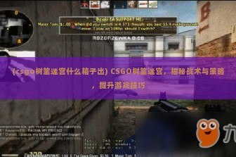 (csgo树篱迷宫什么箱子出) CSGO树篱迷宫，揭秘战术与策略，提升游戏技巧