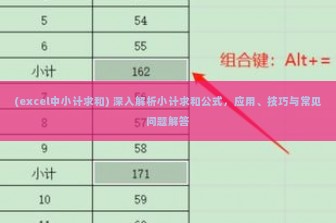 (excel中小计求和) 深入解析小计求和公式，应用、技巧与常见问题解答